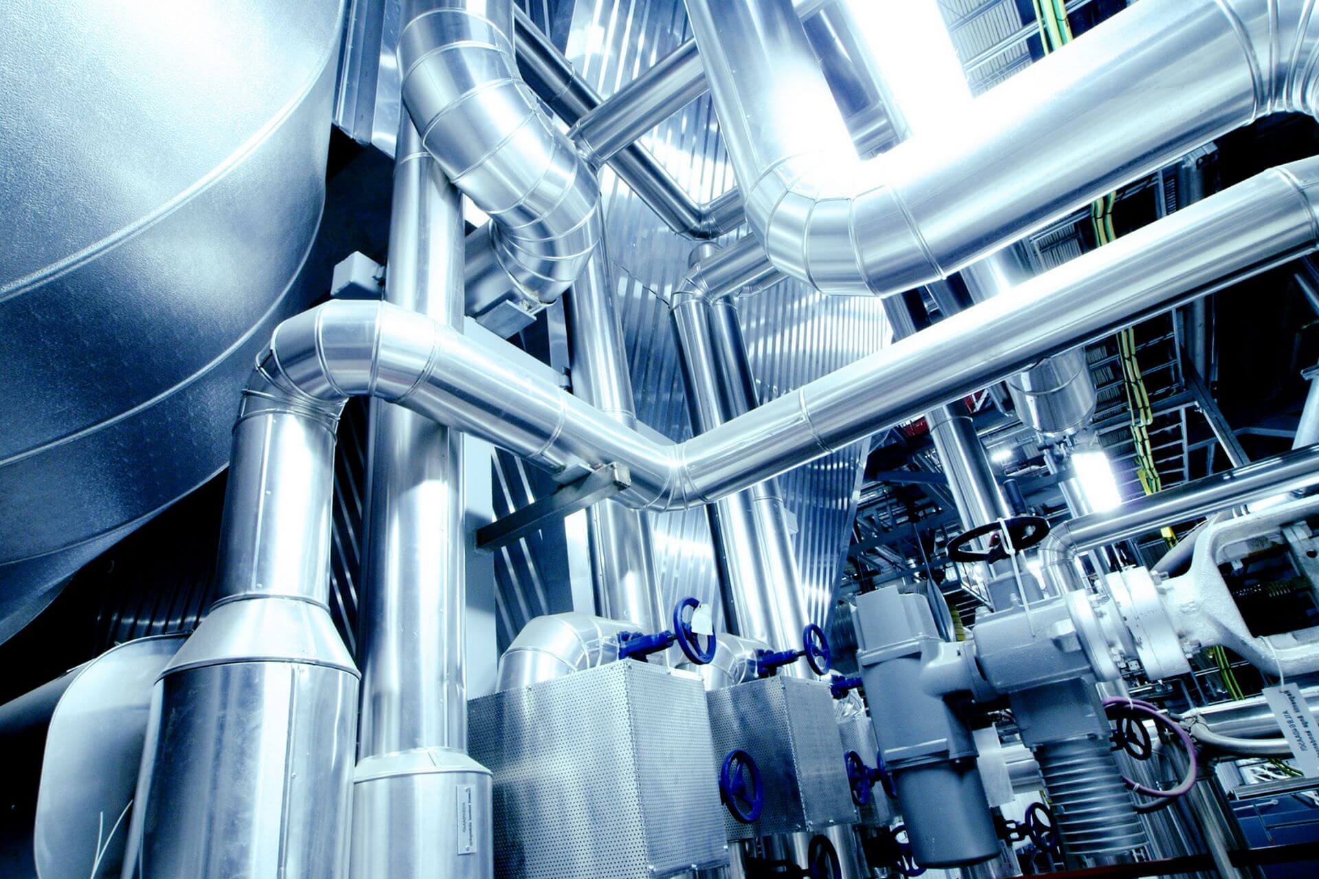 Azienda agricola Mottini